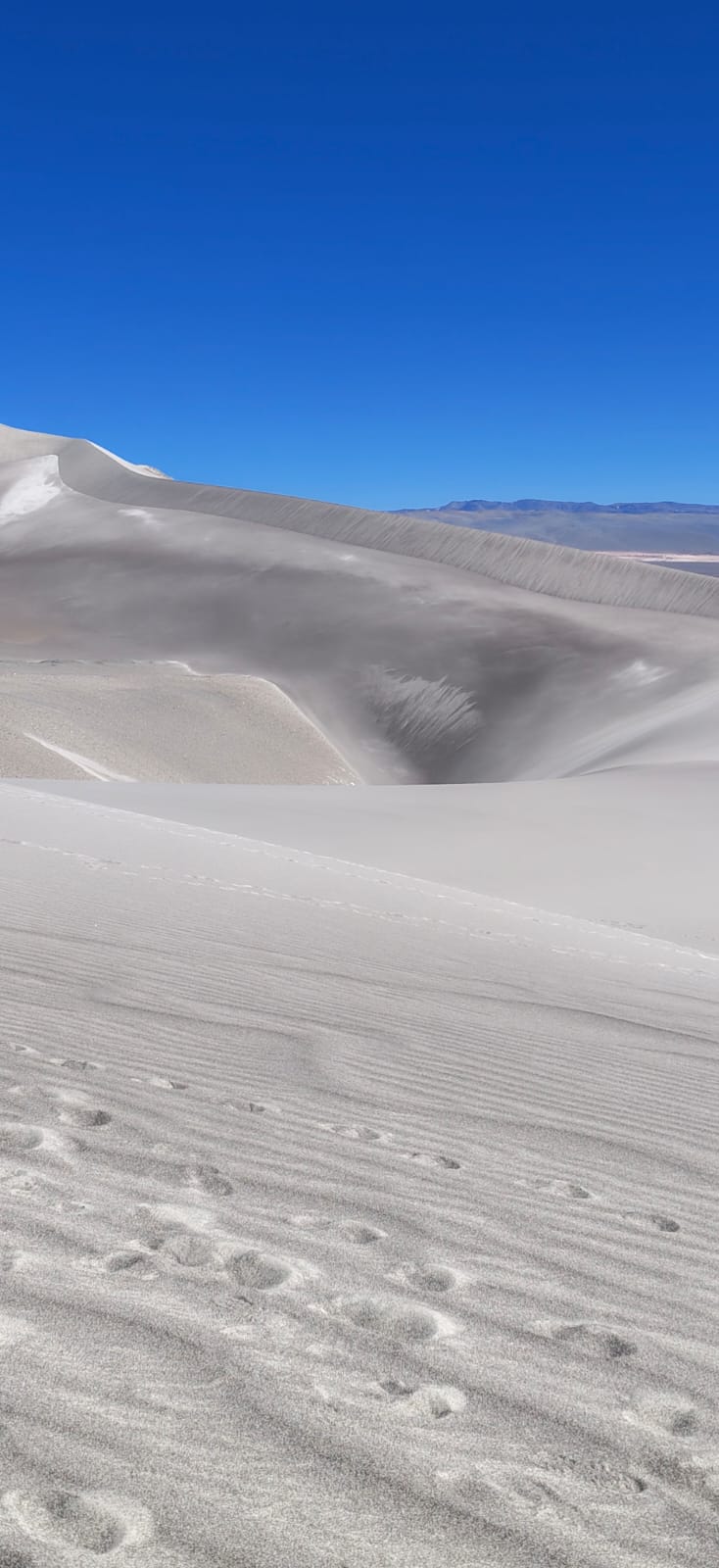 Montañas nevadas bajo cielo limpio